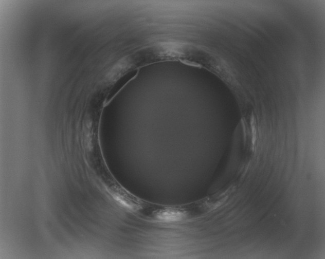 X0000081360223200701111530