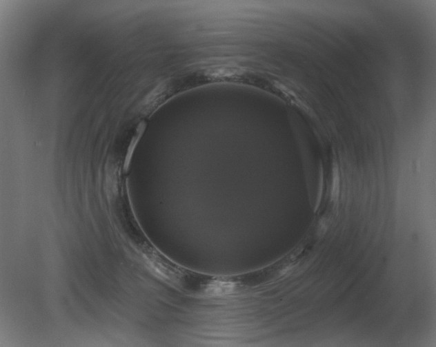 X0000081360227200701111530