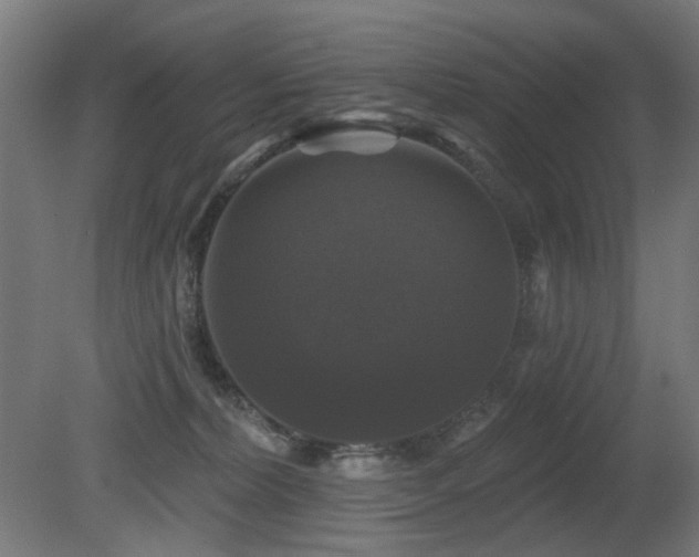 X0000081360228200701111530