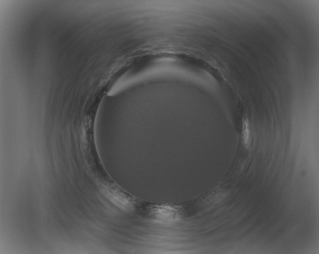 X0000081360229200701111530
