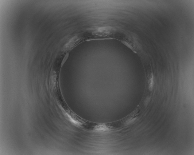 X0000081360231200701111530