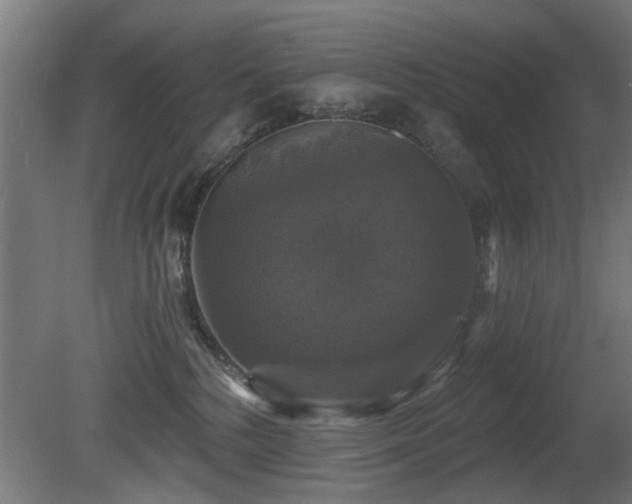 X0000081360232200701111530