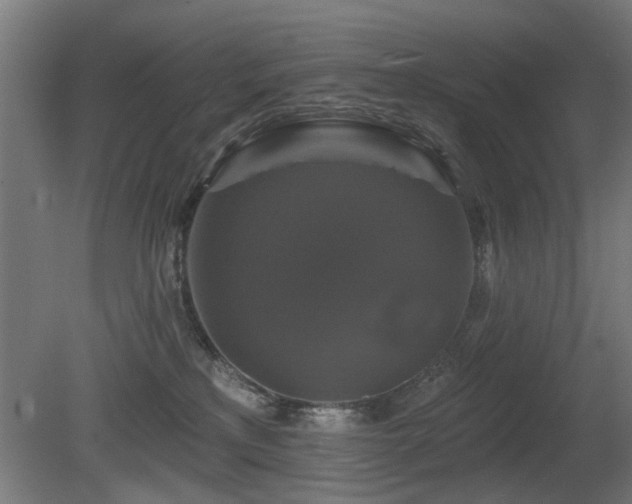 X0000081360233200701111530