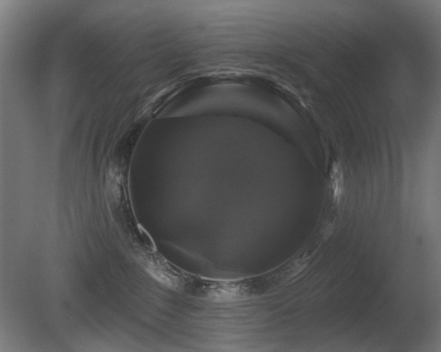X0000081360235200701111530