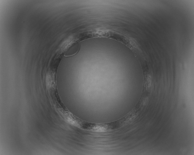 X0000081360236200701111530
