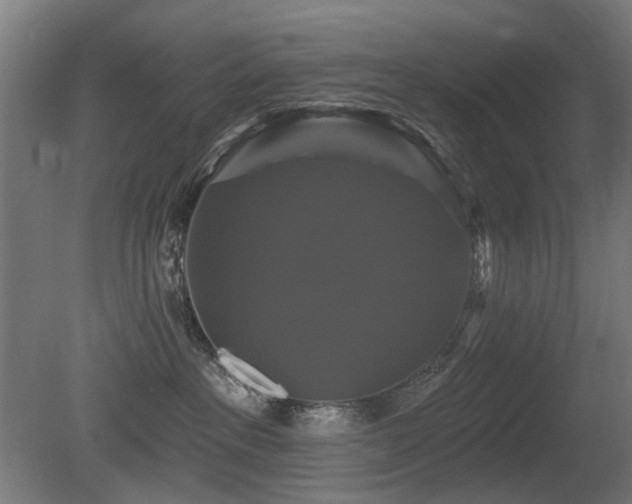 X0000081360237200701111530