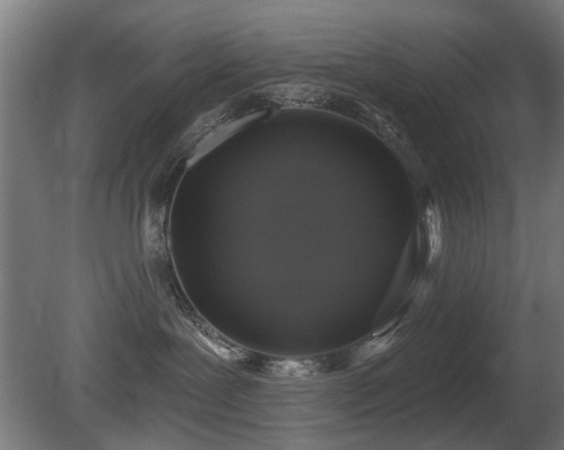 X0000081360239200701111530