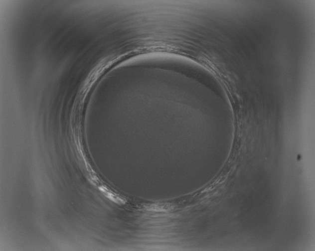 X0000081360241200701111529