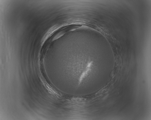 X0000081360242200701111529