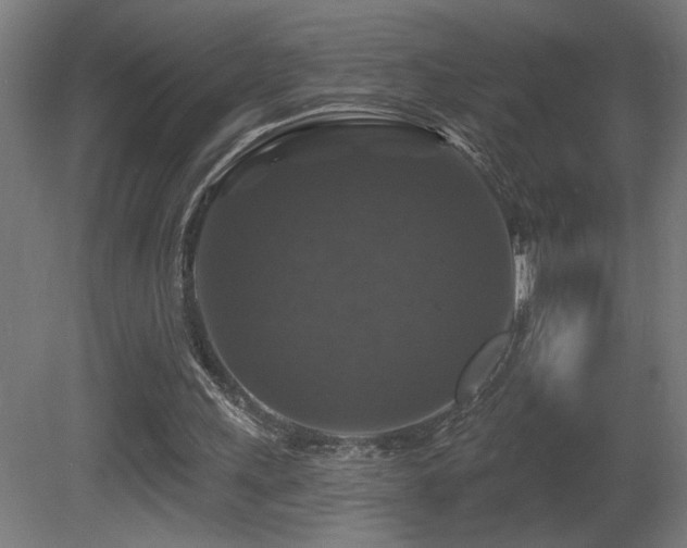 X0000081360243200701111529
