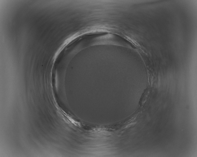 X0000081360244200701111529