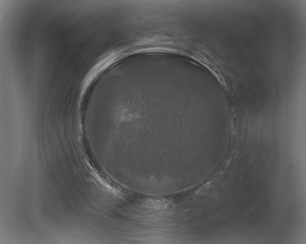 X0000081360245200701111529