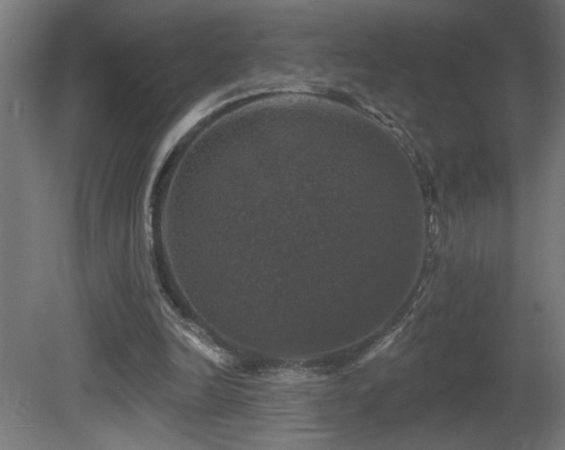 X0000081360246200701111529