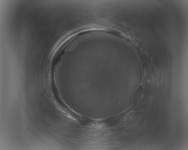X0000081360247200701111529
