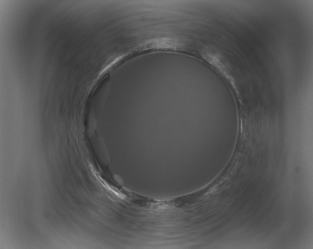X0000081360249200701111529