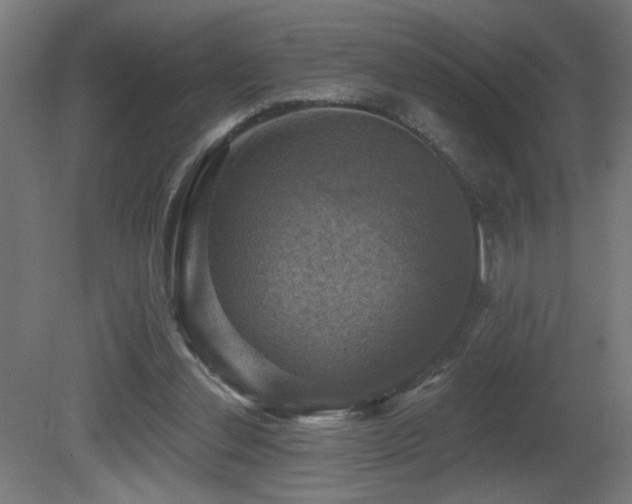 X0000081360252200701111529