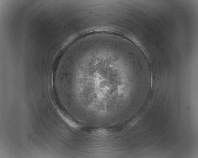 X0000081360253200701111529