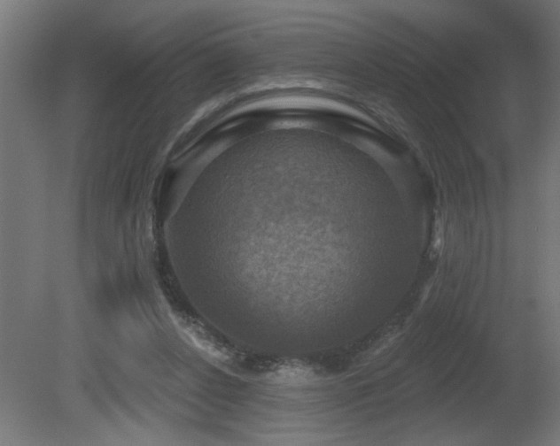 X0000081360256200701111529