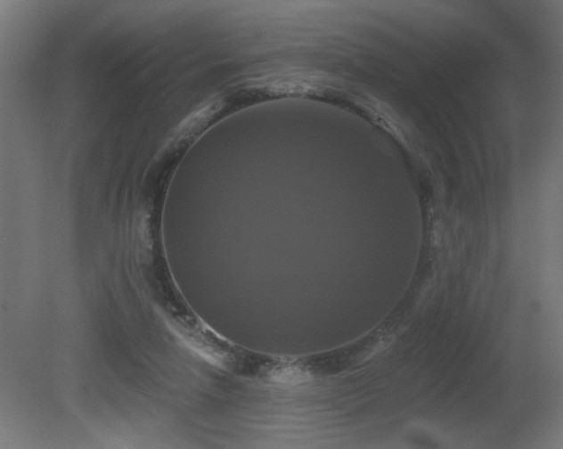 X0000081360258200701111529
