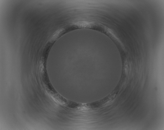 X0000081360259200701111529
