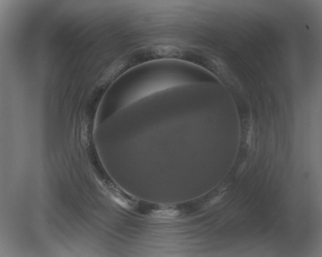 X0000081360266200701111529