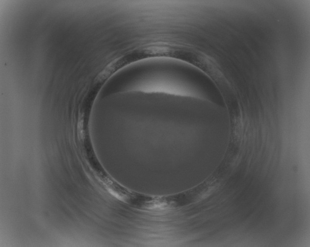 X0000081360267200701111529
