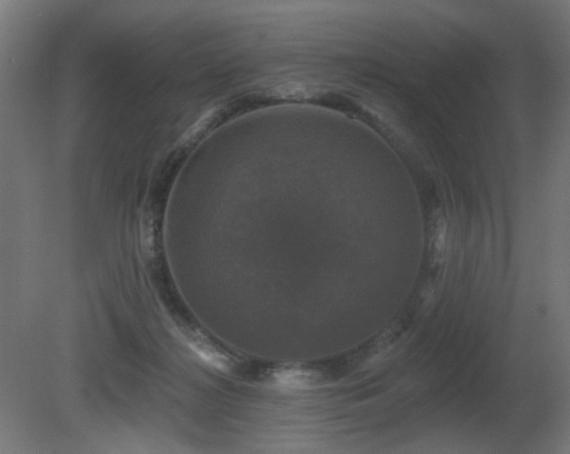 X0000081360268200701111529