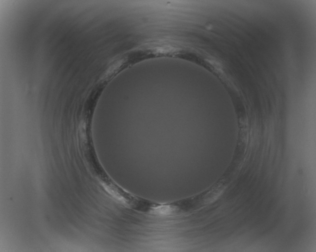 X0000081360269200701111529