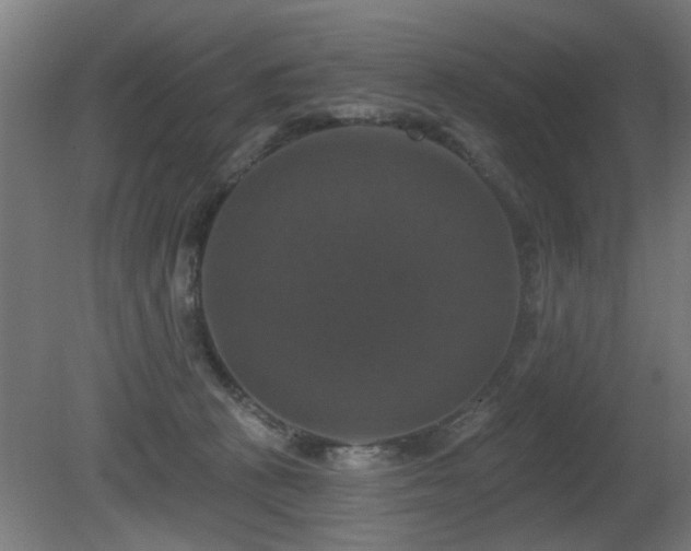 X0000081360273200701111529