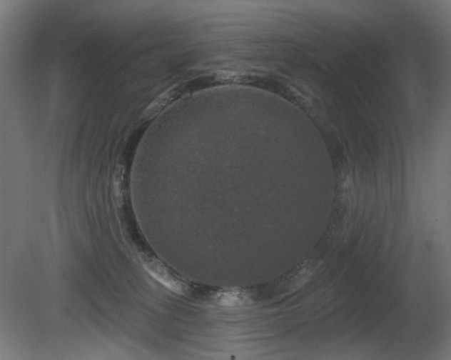 X0000081360275200701111529
