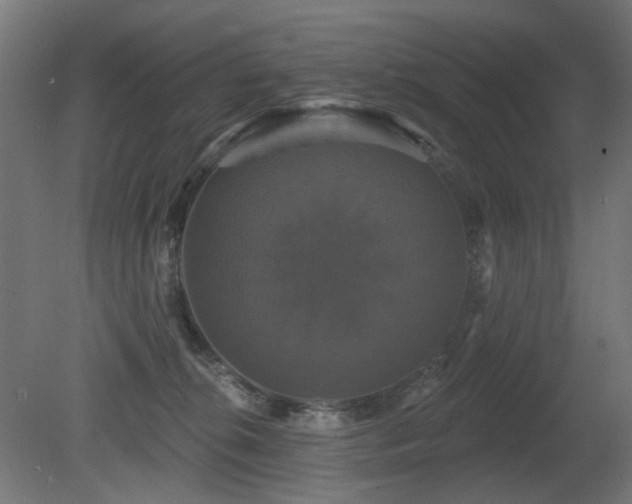 X0000081360276200701111529