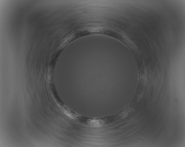 X0000081360277200701111529
