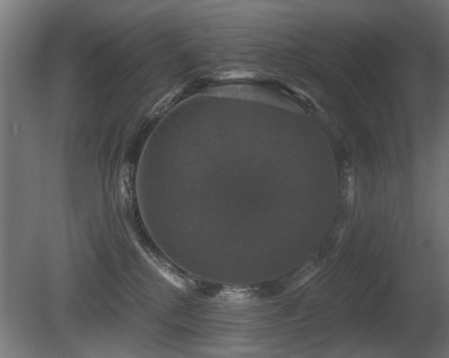X0000081360280200701111529