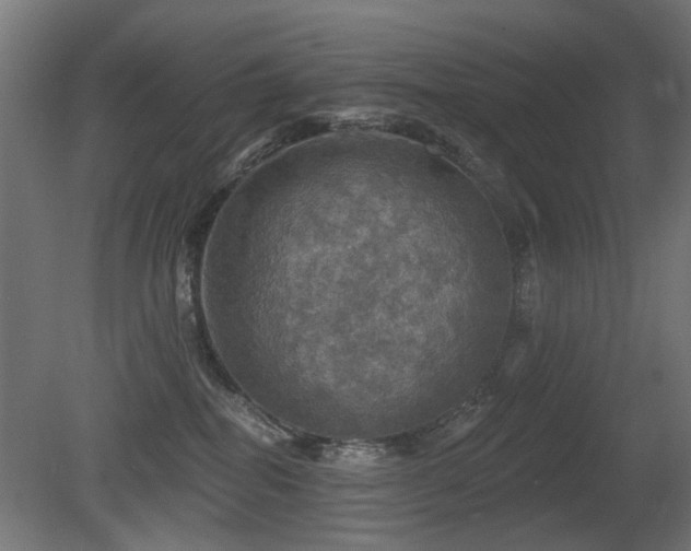 X0000081360282200701111529