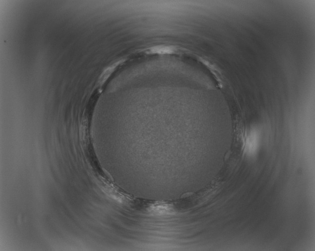 X0000081360283200701111529