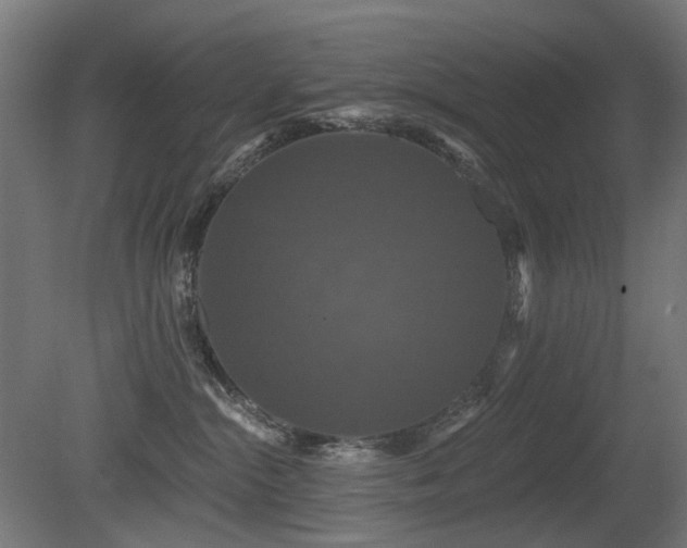 X0000081360284200701111529