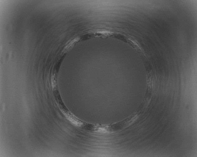 X0000081360285200701111529