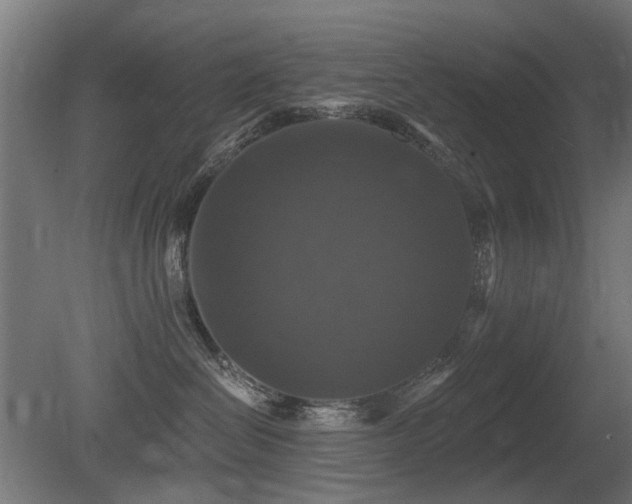 X0000081360286200701111530