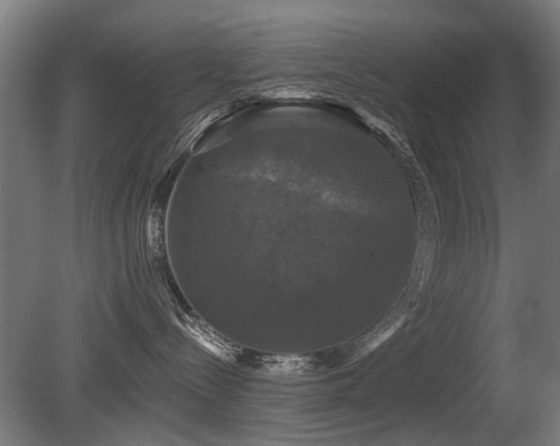 X0000081360288200701111530