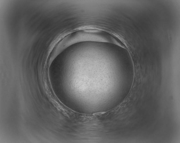 X0000081360289200701111529