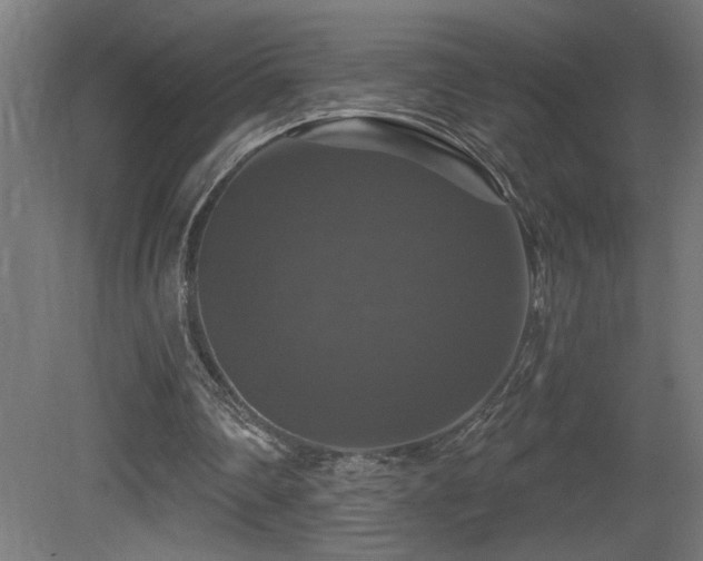 X0000081360290200701111529
