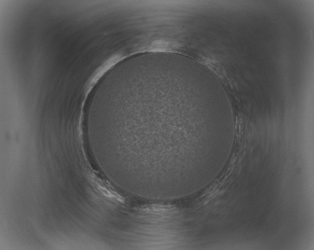 X0000081360292200701111529
