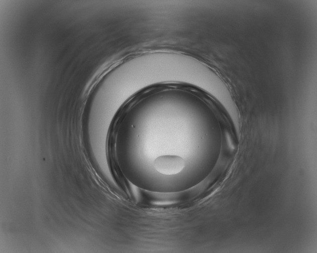 X0000081360293200701111529