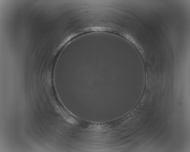 X0000081360297200701111529