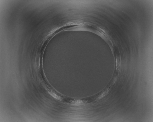 X0000081360301200701111529