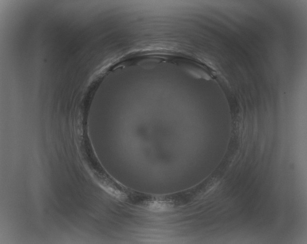 X0000081360303200701111528