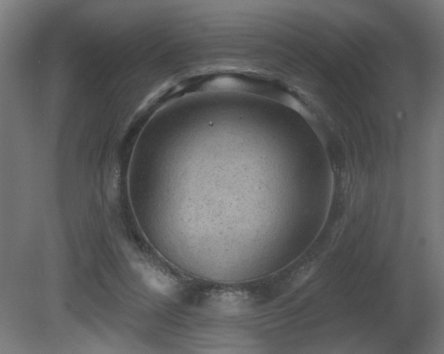 X0000081360304200701111528