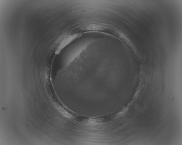 X0000081360305200701111528