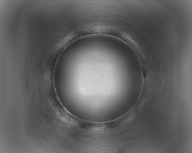 X0000081360306200701111528