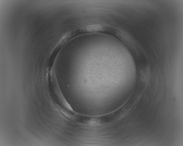 X0000081360308200701111528